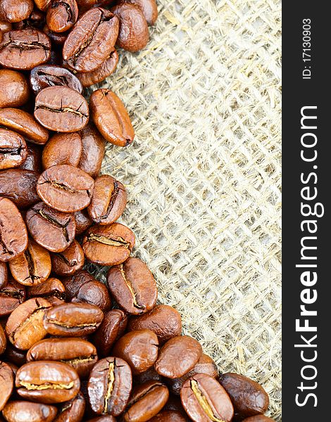 Black coffee beans on white background