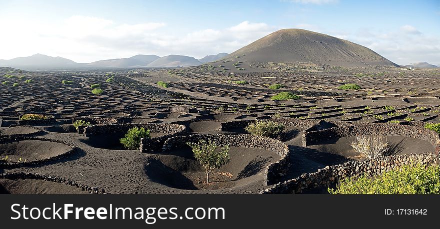 La Geria, Vineyards, Lanzarote, Canary Island