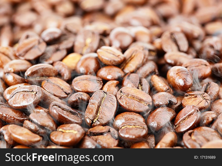 Black coffee beans on white background