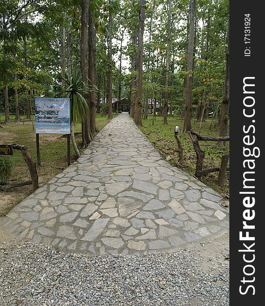 A stone pavement in forest