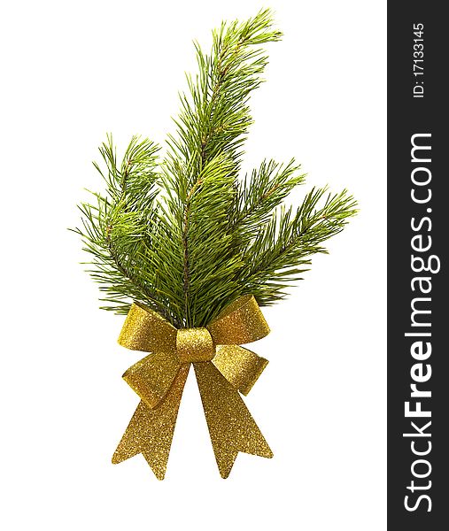 Decorated christmas tree branch with bow on white