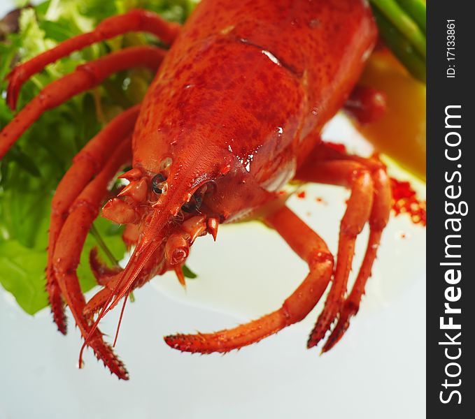 Cooked lobster with salad leafs