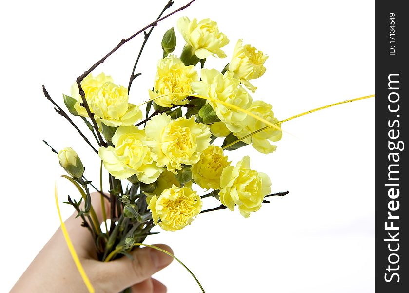 Woman is keeping carnation bouquet