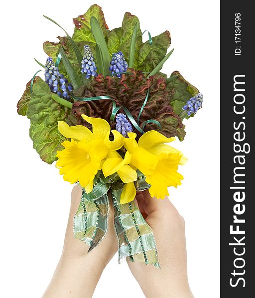 Woman is keeping daffodil bouquet