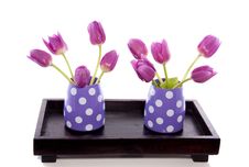 Little Vases With Purple Tulips Stock Photography Little Vases With Purple Tulips Stock Photography