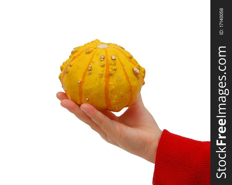 Mini Pumpkin Yellow
