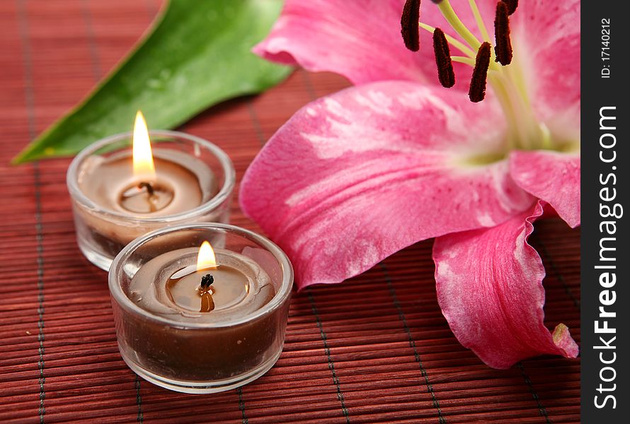 Pink lily and brown burning candles. Pink lily and brown burning candles