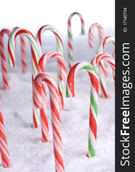 Christmas Candy Canes in the snow portrait