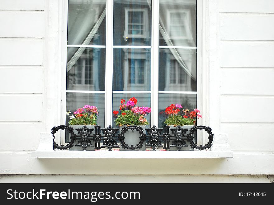 White window frame with flowers blossoming