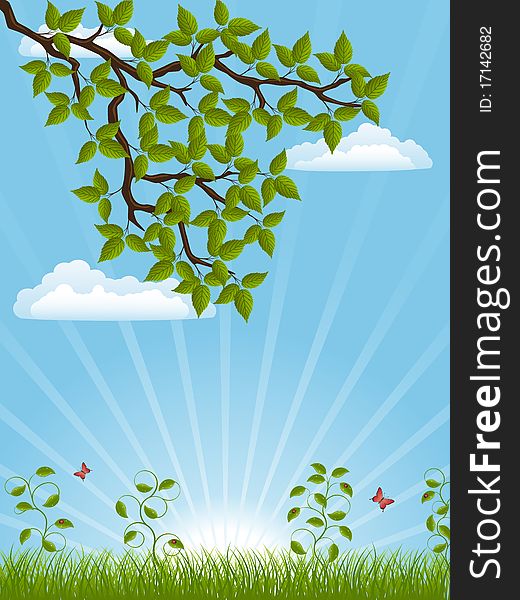Summer landscape with a tree branch. Vector illustration.