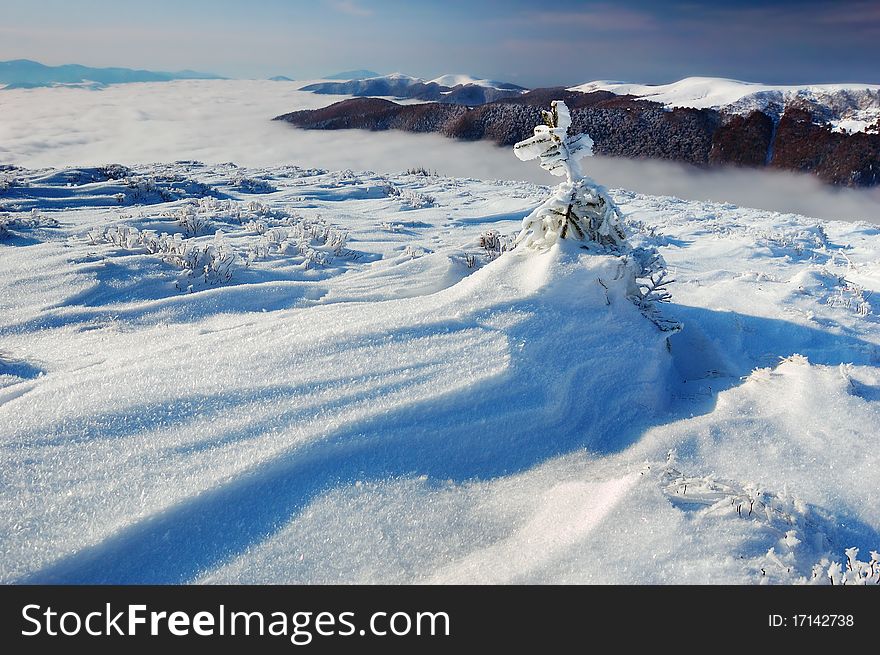 Winter Landscape In Mountains