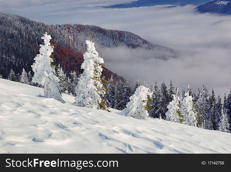 Winter Landscape In Mountains