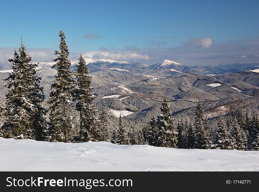 Winter Landscape In Mountains