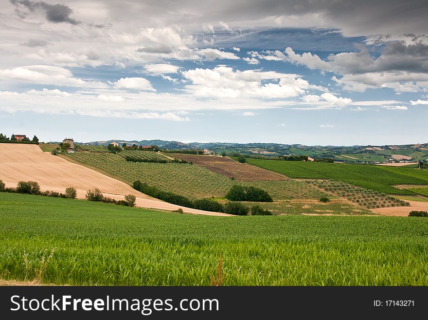 Hilly countryside of le Marche, Italy, in spring