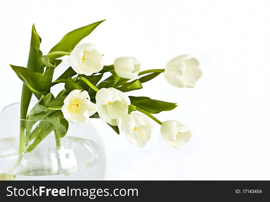 Beautiful bouquet of tulips in glass vase on white background