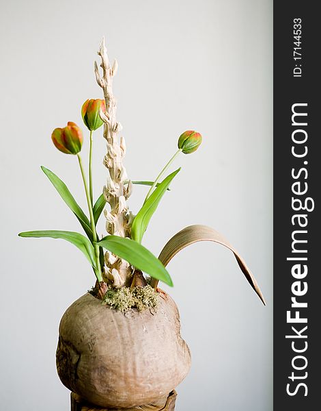 Beautiful handmade composition with tulips