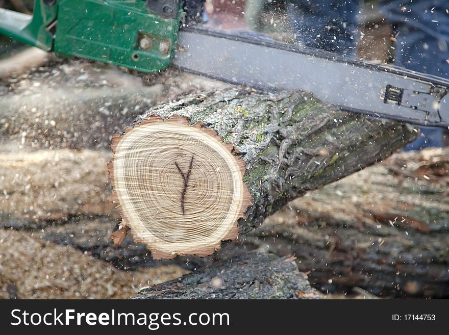 Man cutting piece of wood with chain saw. Close up view