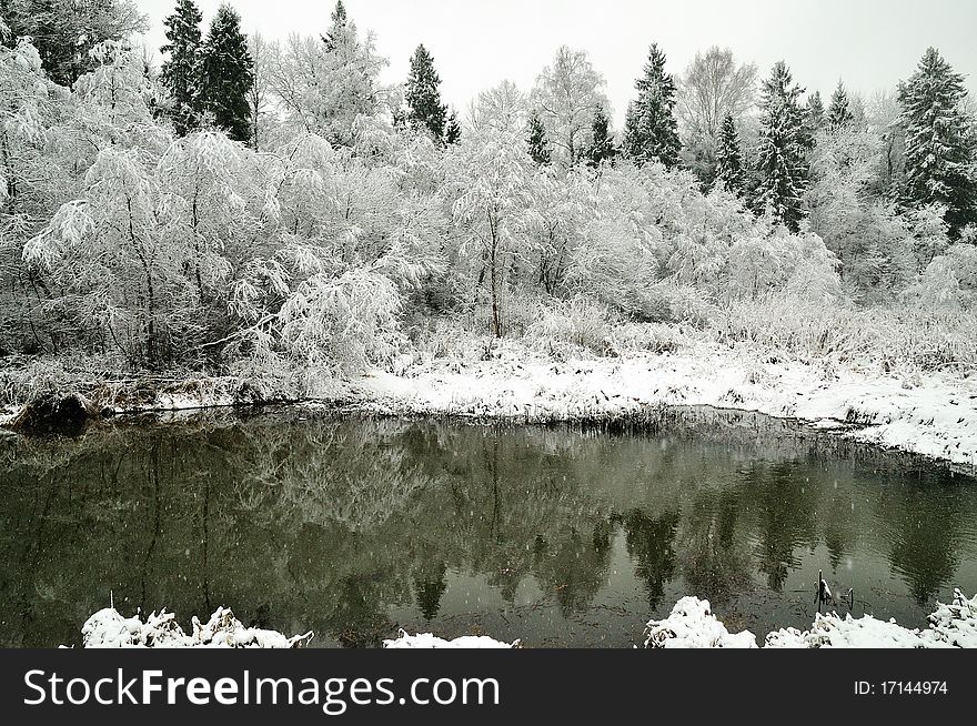 Winter forest is reflected in the river