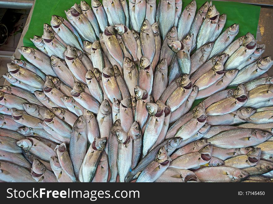 Fresh fish on display at a fish market. Fresh fish on display at a fish market