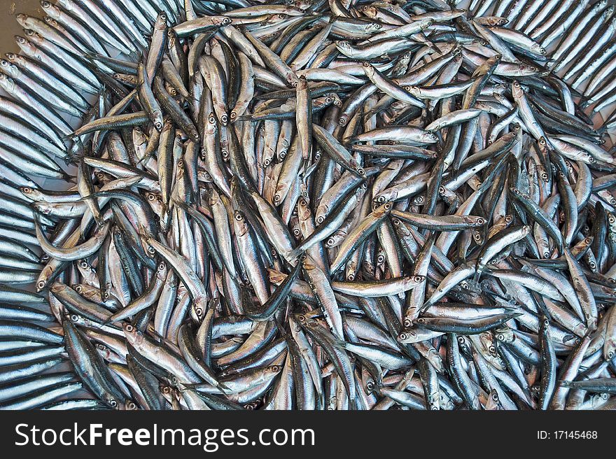 Fresh fish on display at a fish market. Fresh fish on display at a fish market