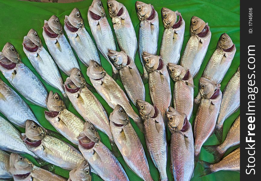 Fresh fish on display at a fish market. Fresh fish on display at a fish market