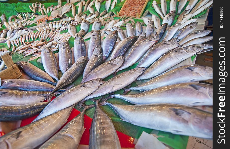 Fresh fish on display at a fish market. Fresh fish on display at a fish market