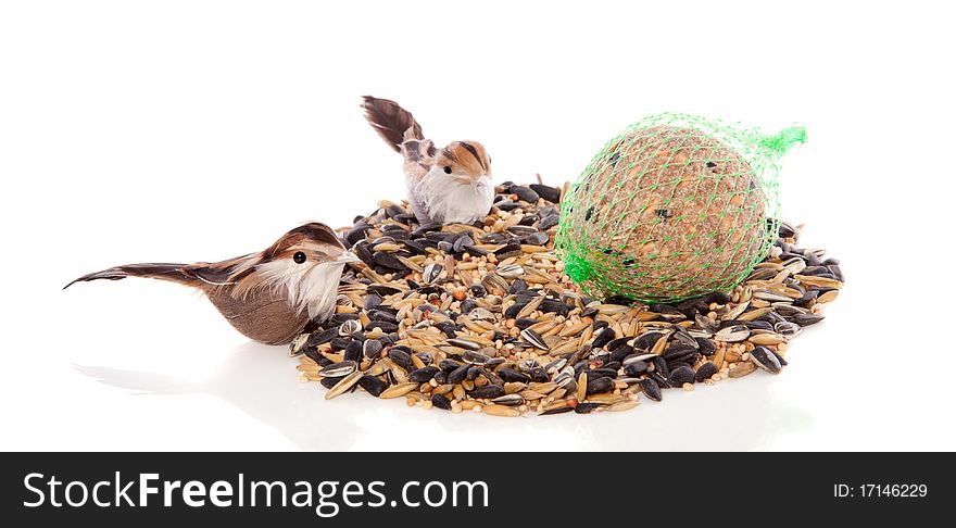 Two birds eating winter birdseeds isolated on white background