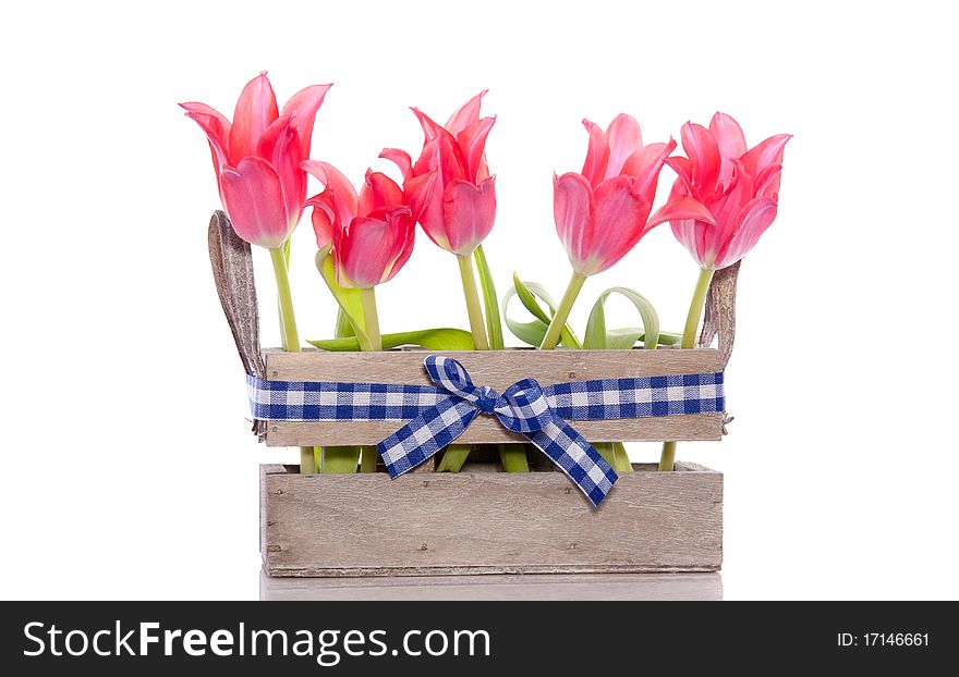 Red Tulips In A Wooden Crate