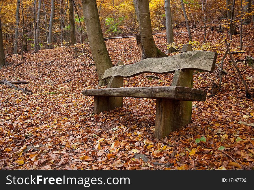 Bench in an autumnal wood near Kassel