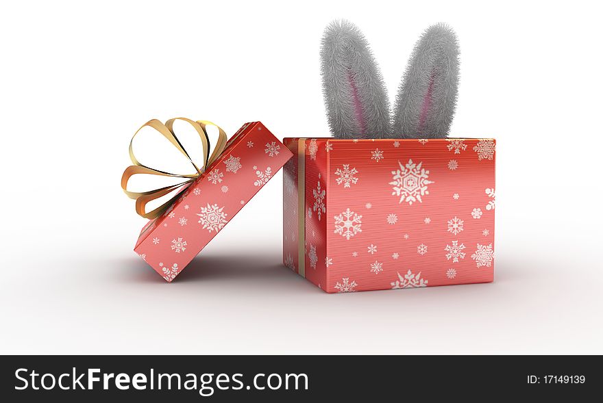 Rabbit present box