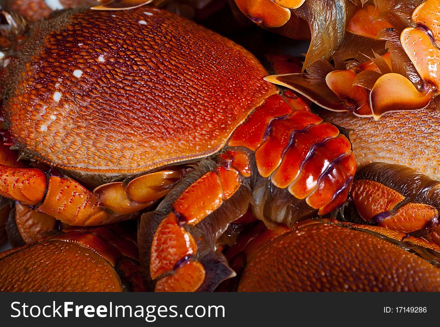 Red crabs could be used as nice background. Red crabs could be used as nice background.
