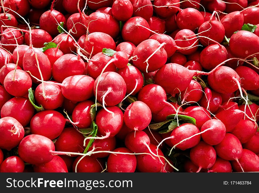 Heap of small red radish. Close up overhead view