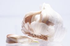 Garlic With Light Background Stock Image Garlic With Light Background Stock Image