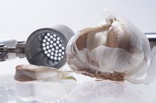 Garlic And Garlic Press Royalty Free Stock Photo Garlic And Garlic Press Royalty Free Stock Photo