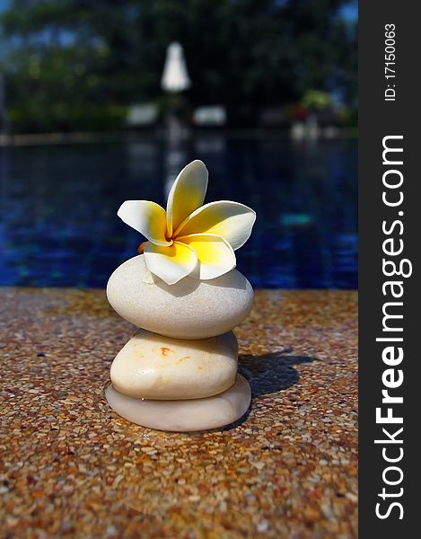 Swimming pool flower with stones