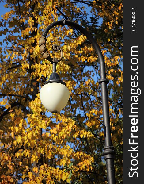 Autumn streetlight, orange leaves and blue sky