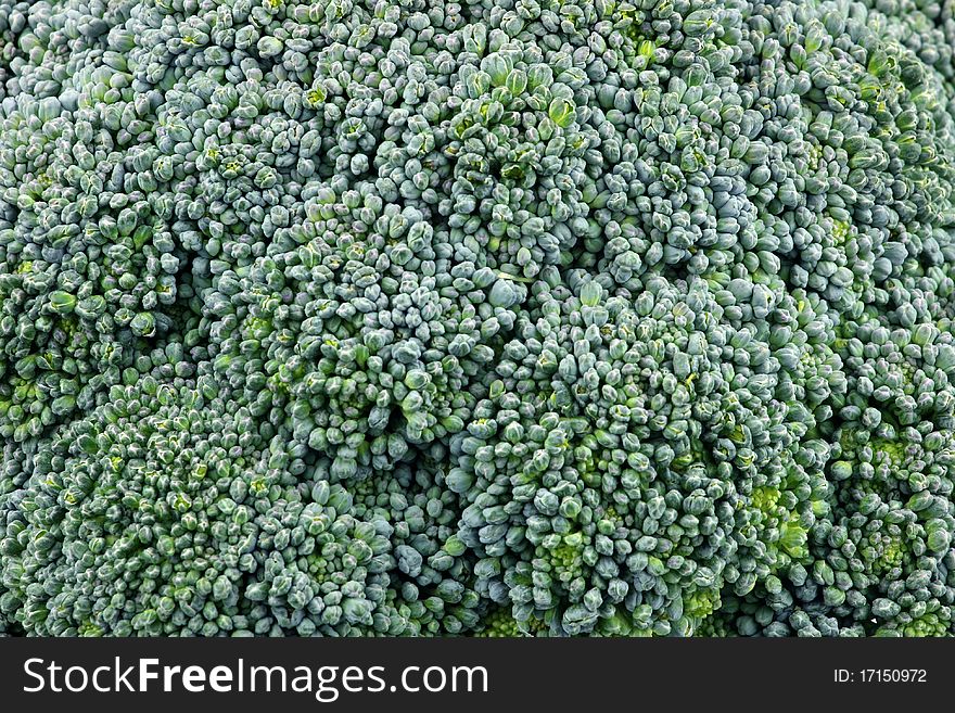 Broccoli flower macro, shallow DOF