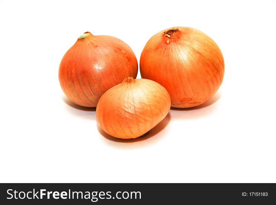 Photo of the onions on white background