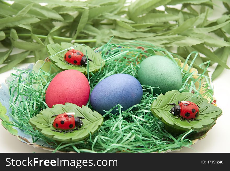 Easters eggs and ladybirds in the Easter grass