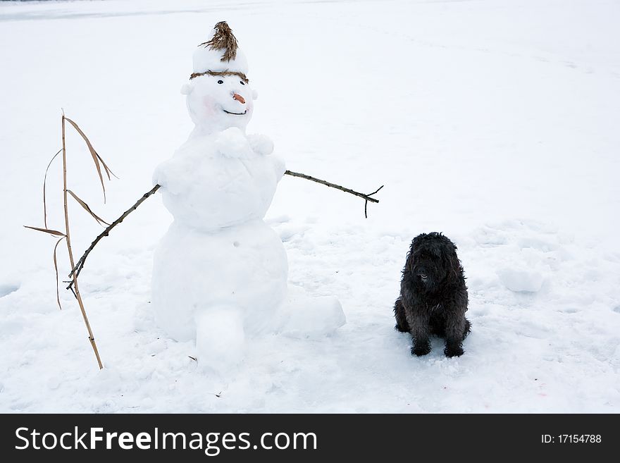 Snowman and black dog beside the snow-covered field