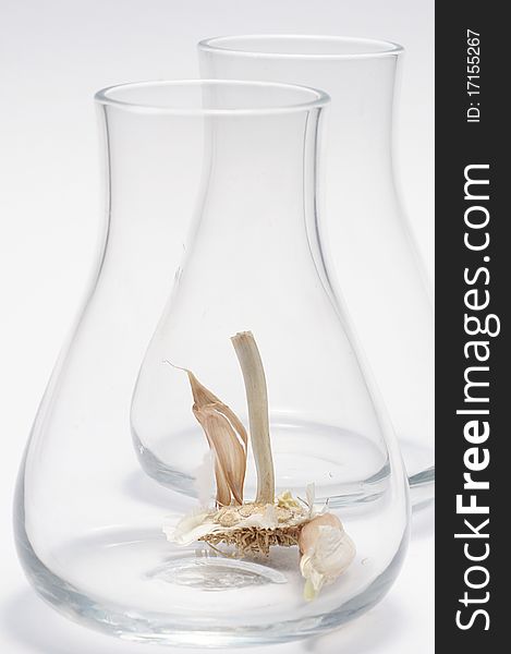 Garlic in a glass with light background