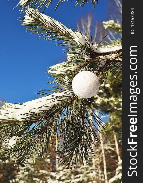 Balloon on the branches with snow; coniferous twigs; new year red decoration; close-up; holiday picture; bright field. Balloon on the branches with snow; coniferous twigs; new year red decoration; close-up; holiday picture; bright field