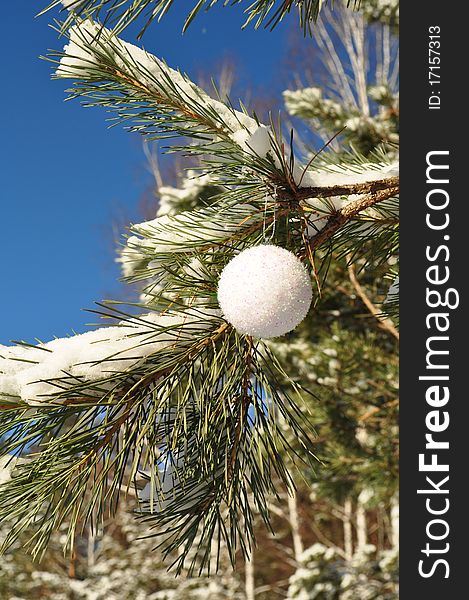 Round balloon on the branches with snow, coniferous twigs, new year white decoration, close-up, holiday picture. Round balloon on the branches with snow, coniferous twigs, new year white decoration, close-up, holiday picture