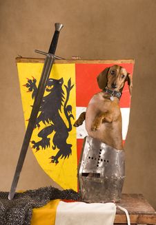 My Dog Is Reliably Protected! And Yours Royalty Free Stock Photography My Dog Is Reliably Protected! And Yours Royalty Free Stock Photography