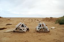 Donna Nook Seal Colony Royalty Free Stock Photo Donna Nook Seal Colony Royalty Free Stock Photo