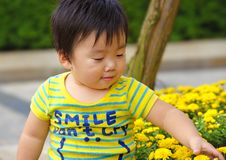 A Cute Baby Is Playing Stock Photography