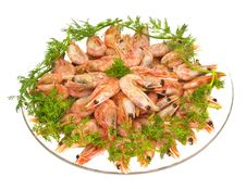 Boiled Shrimps Royalty Free Stock Photo Boiled Shrimps Royalty Free Stock Photo