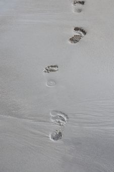Footprints On A Beach Royalty Free Stock Photos Footprints On A Beach Royalty Free Stock Photos