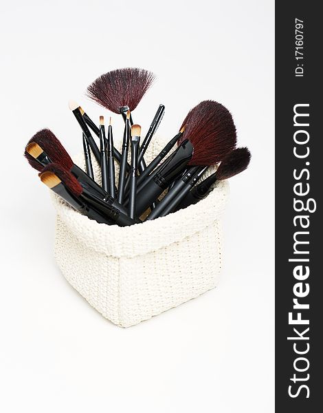 Professional cosmetic brushes