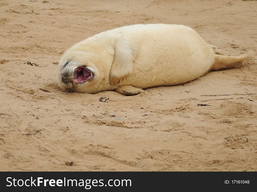 So tired